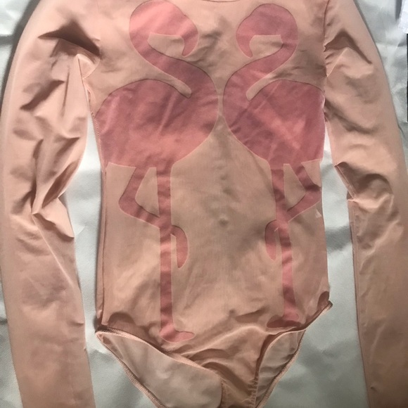 ZARA Flamingo Bodysuit Pink Sheer Mesh - Picture 4 of 6